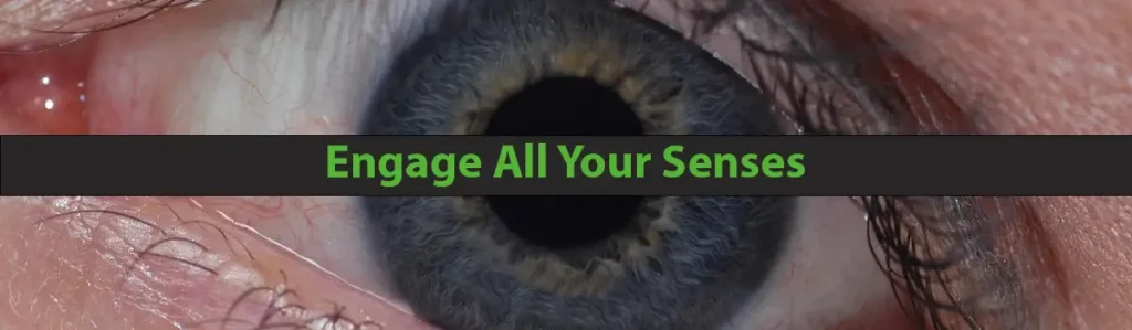 Engage All Your Senses