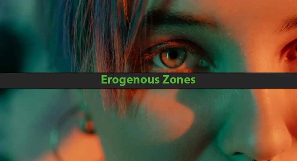 Erogenous Zones