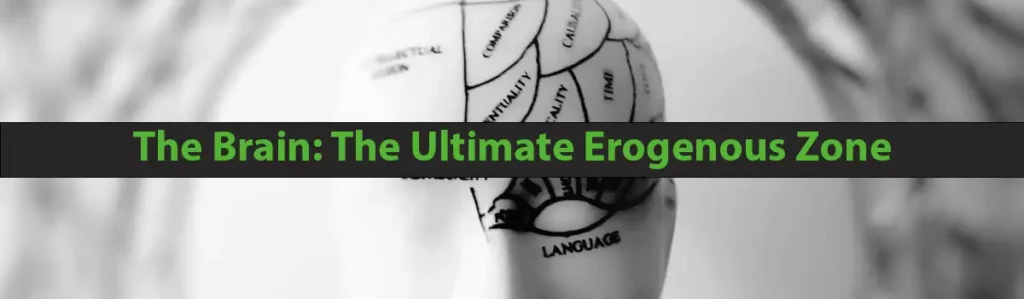 The Brain The Ultimate Erogenous Zone